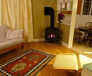 Smart TV, fireplace, DVD player, books