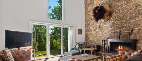 电视、壁炉、DVD 播放器、立体声音响