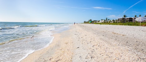 Plage à proximité