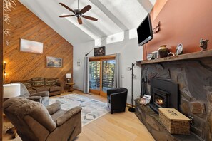 Smart TV, fireplace, DVD player, video library