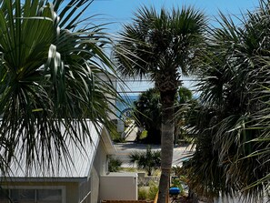 Enjoy a tropical getaway with a barbecue grill and modern amenities in this coastal retreat.
