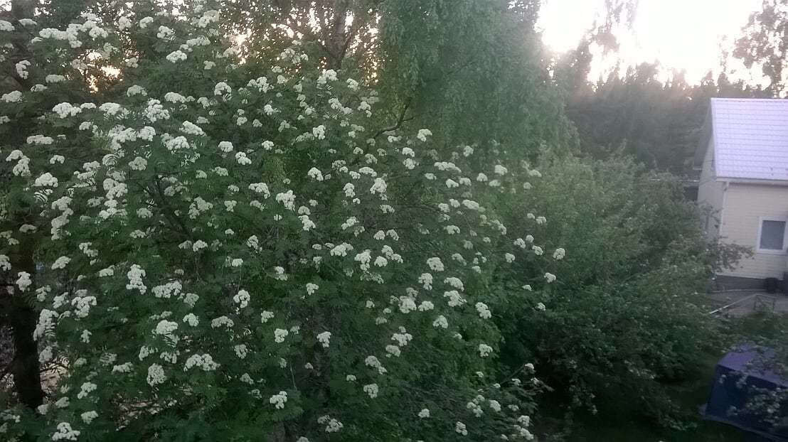 公寓, 2 間臥室, 桑拿 | 園景