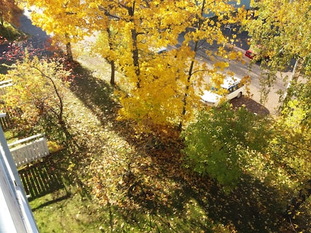 Vista al jardín