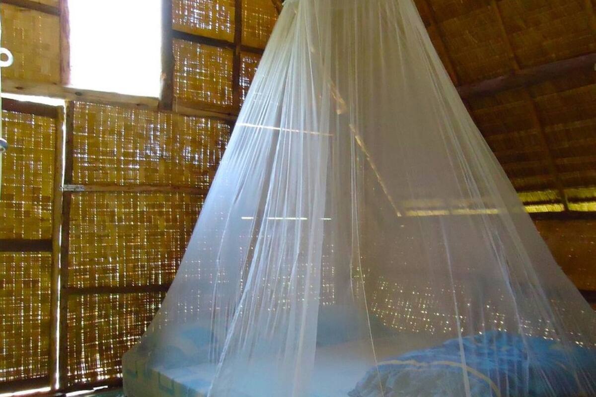 A room with a mosquito net over a bed, bamboo walls, and a thatched roof.