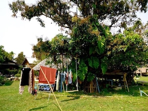 A rural outdoor setting with a large tree, a clothesline, and a small wooden structure. - Giant House Riverside (Pai)