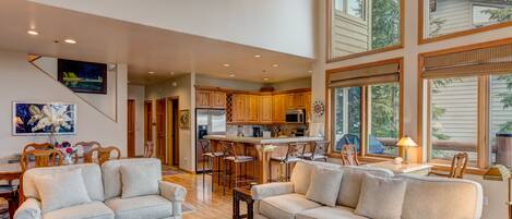 Tv, pejs, dvd-afspiller, musikbibliotek