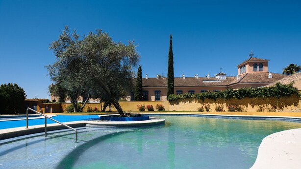 A swimming pool with a fountain, surrounded by a landscaped area with trees and a building in the background.