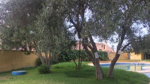 A grassy area with trees, a blue barrel, and a pool.