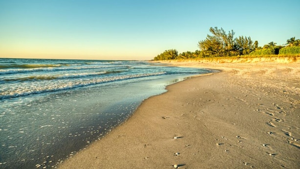 A beach with clear waters, a sandy shore, and some vegetation in the background.
