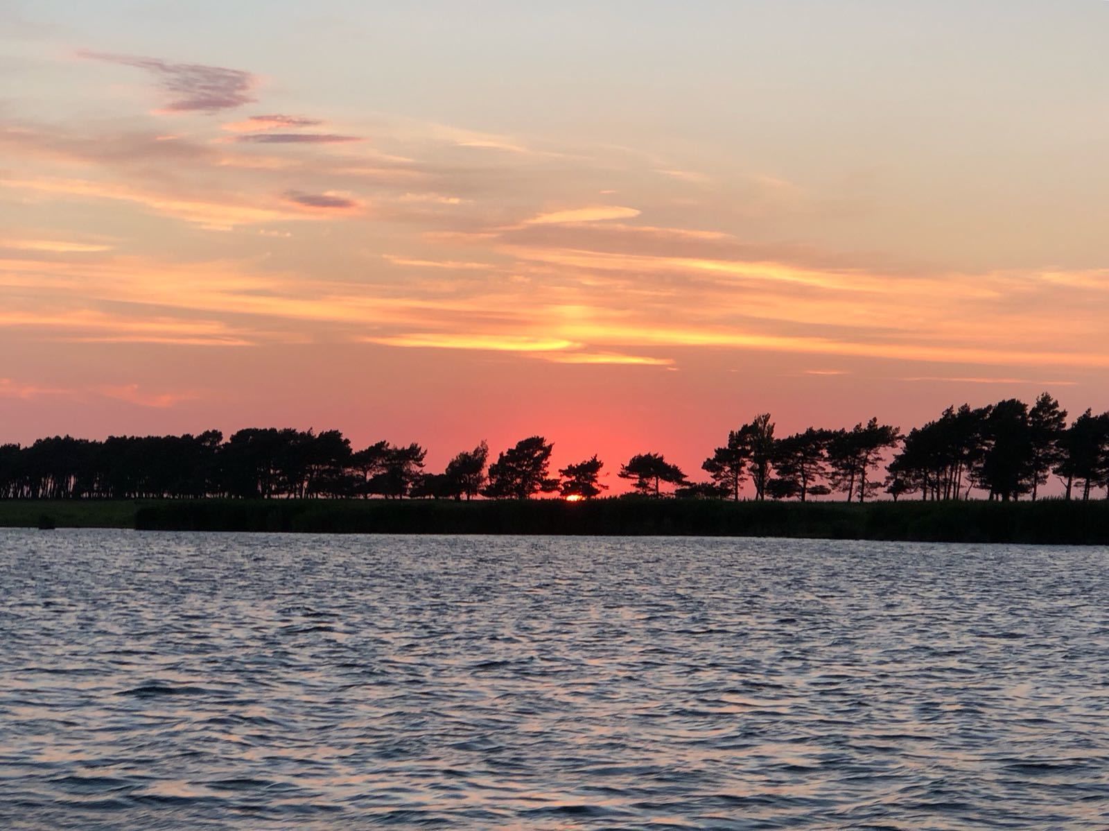 Ein Sonnenuntergang über ruhigem Wasser, im Hintergrund eine Baumsilhouette.