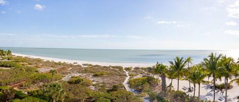 On the beach, sun-loungers, beach towels