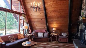 TV connectée, cheminée, jeux vidéo, lecteur de DVD