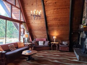 Smart TV, fireplace, video games, DVD player