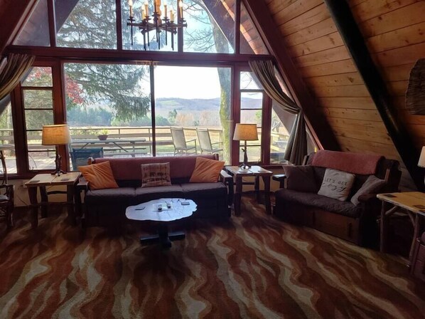 Smart TV, chimenea, videojuegos y reproductor de DVD 