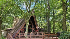 A cabin with a wooden deck, surrounded by trees. - Private Cabin with Lake & Mountain Views on 10 Acres - Near Resorts - Book Now! (Champion)
