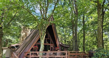 Private Cabin with Lake & Mountain Views on 10 Acres - Near Resorts - Book Now!