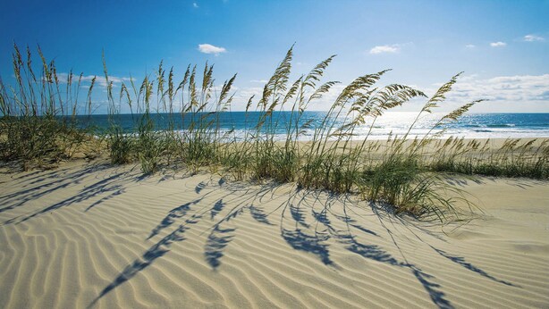 Beach nearby - Oceanview Dog Friendly Home in Avon w/ Grill, Games. Only 3 Lots From Beach! (Avon)