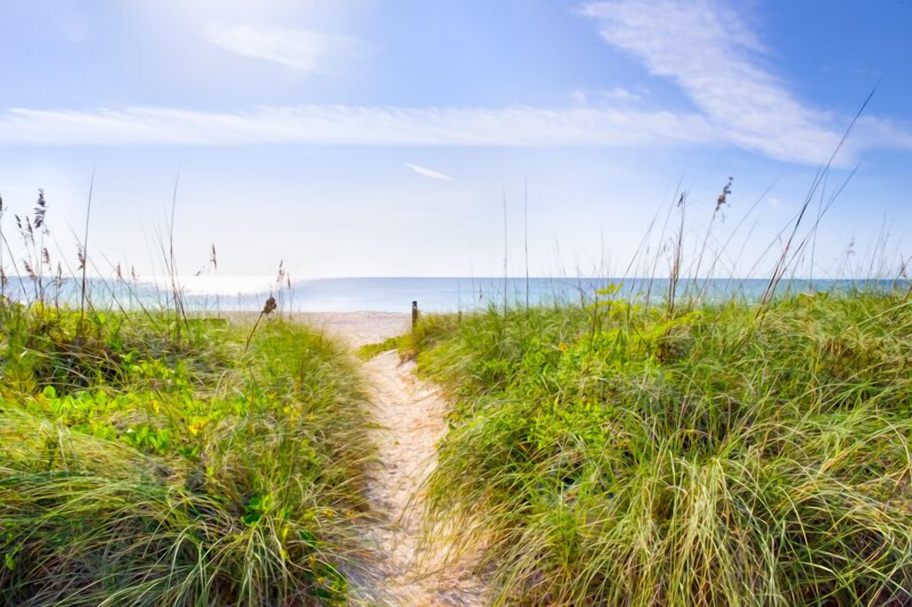 A beach path leading to the sea with grassy banks.