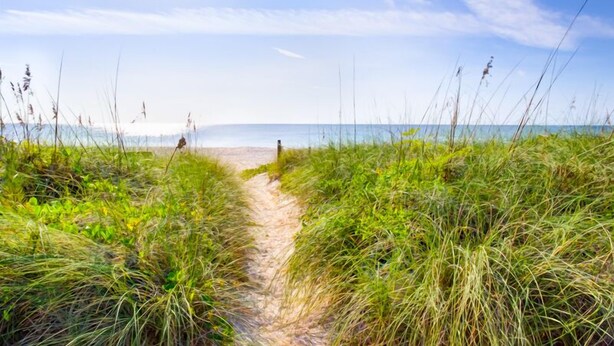 Ein Strandweg, der zum Meer führt, mit grünen Böschungen.