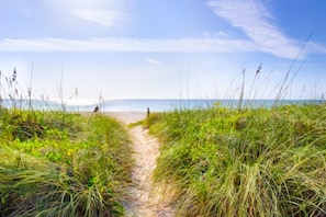 En stig som leder från stranden ner till havet, med gräsklädda sluttningar på sidorna.