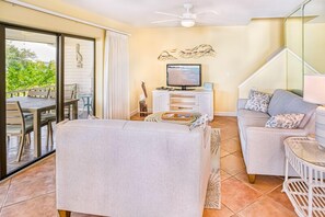 Televisio, DVD-soitin