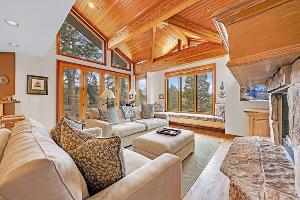 TV, fireplace, music library, video library