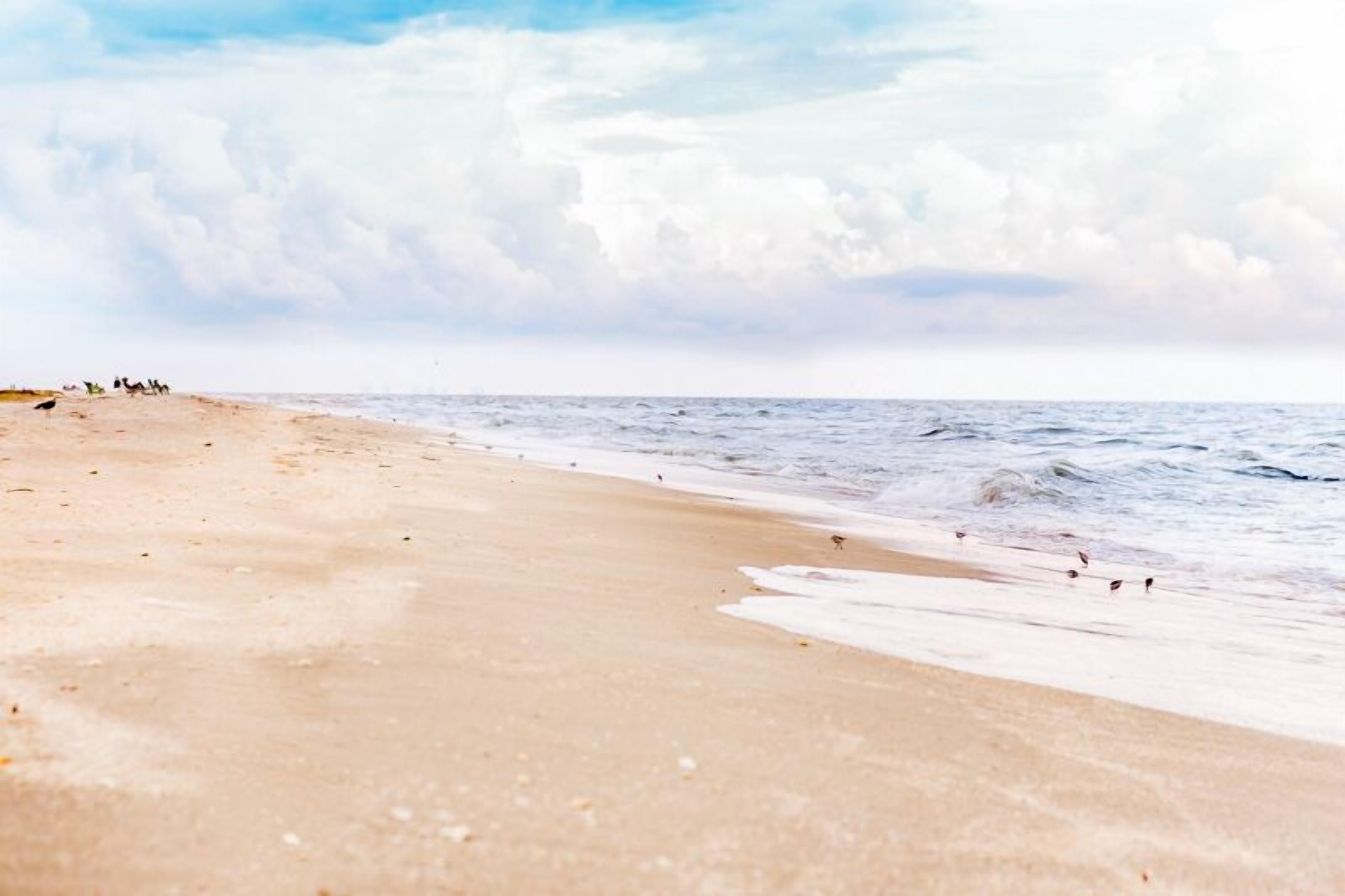 Sun loungers, beach towels