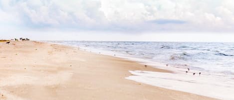 Sun-loungers, beach towels
