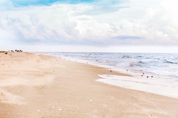 Sun-loungers, beach towels
