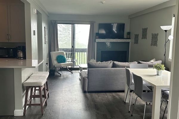 Smart TV, chimenea, reproductor de DVD y libros