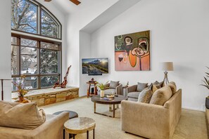 TV, caminetto, impianto stereo