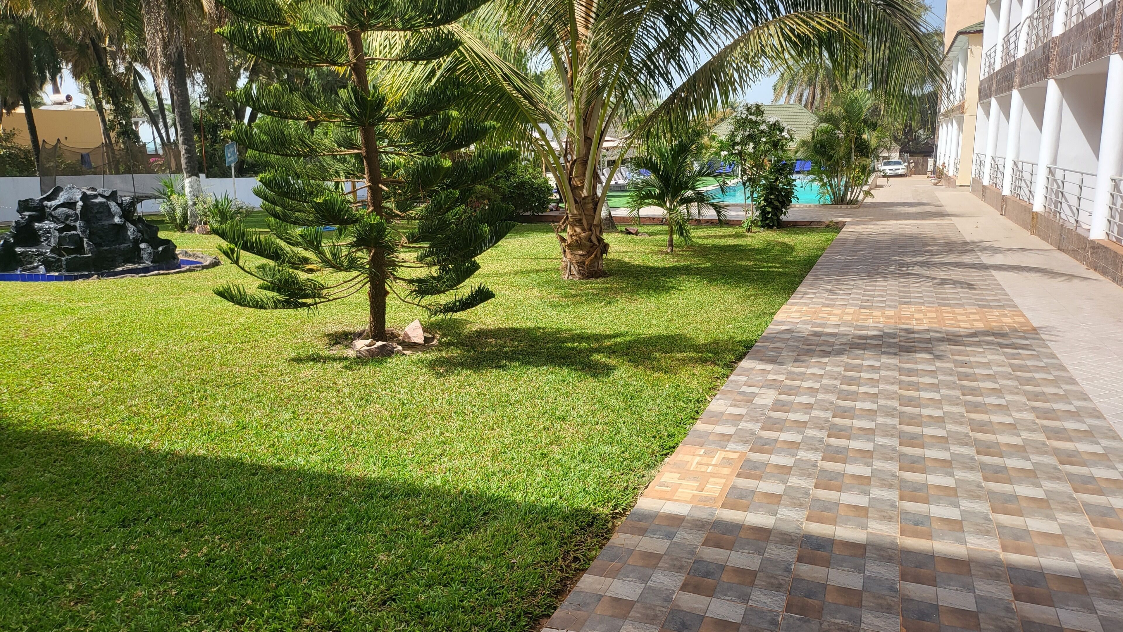 A pathway lined with palm trees and a small pond, leading to a building with a tiled facade.