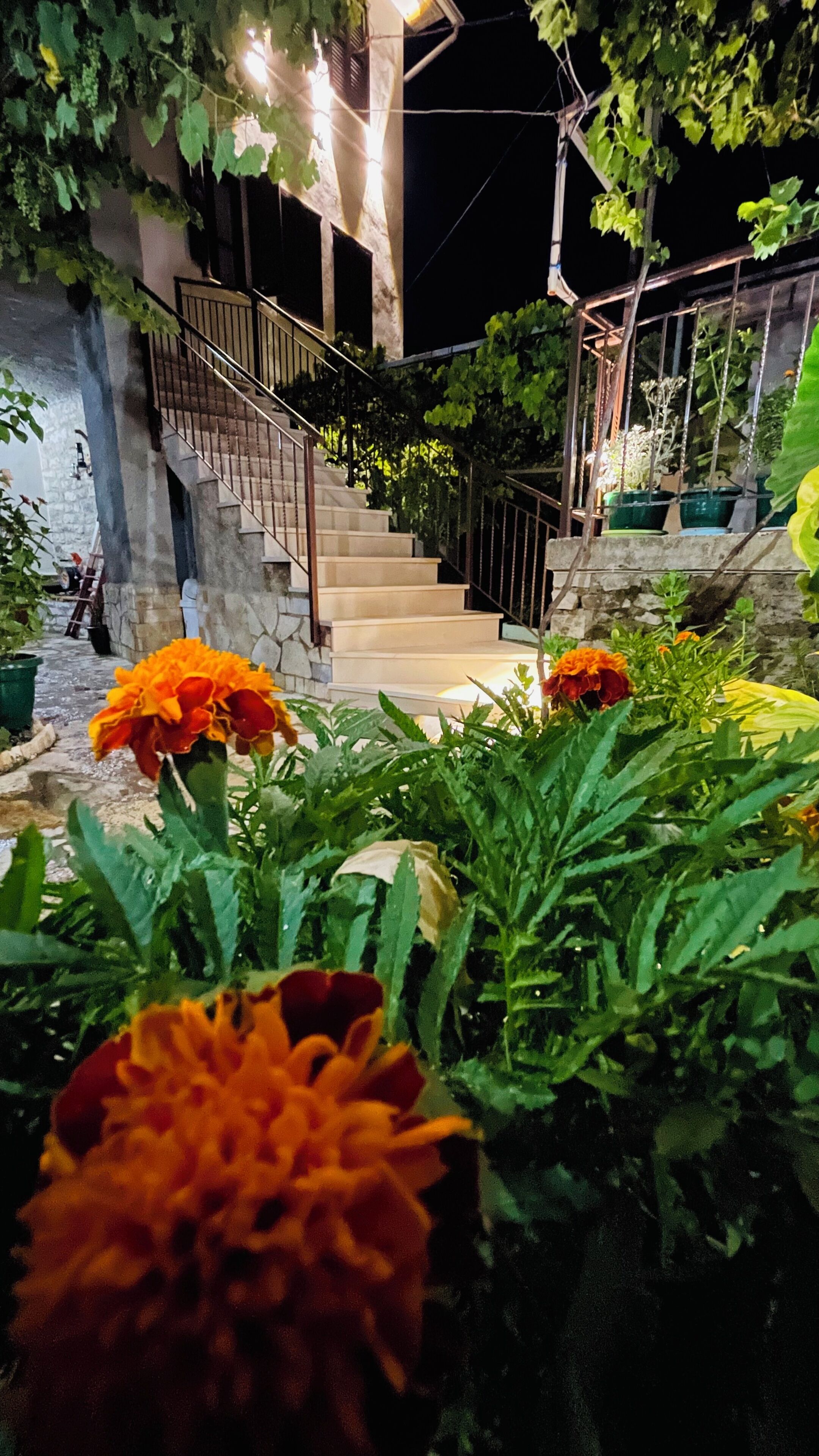 Una escalera conduce a un edificio de fachada de piedra, rodeado de follaje y flores.