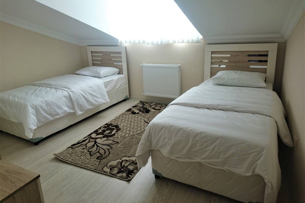 A bedroom with two beds, a radiator, a floral rug, and a skylight.