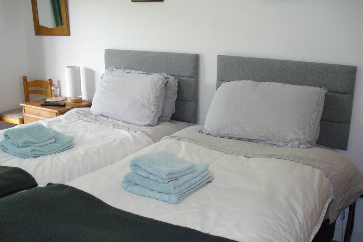 Habitación panorámica con 2 camas individuales, 2 camas individuales, vistas a la montaña | Ropa de cama de alta calidad y decoración individual