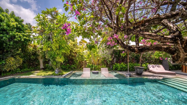A clear swimming pool with lounge chairs and a tree with pink flowers. - Lush Private Pool | Shaded Gazebo | Seminyak (Seminyak)