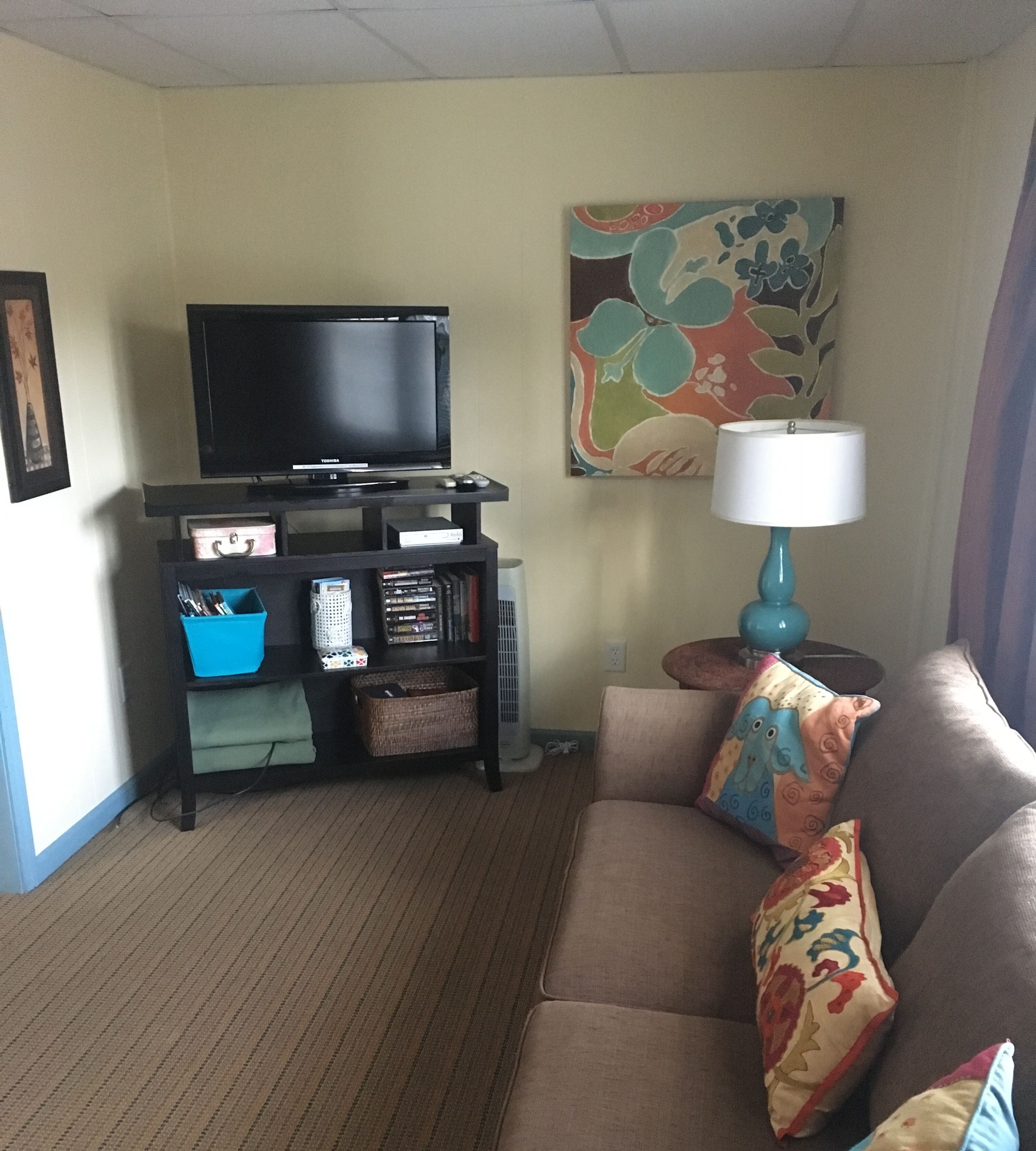 Smart TV, reproductor de DVD y libros 