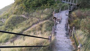 Un muelle de madera con barandillas metálicas, rodeado de césped y árboles.