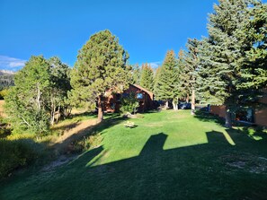 Un chalet en bois, entouré de grands pins, se dressant sur un terrain en pente avec une chaîne de montagnes en arrière-plan.