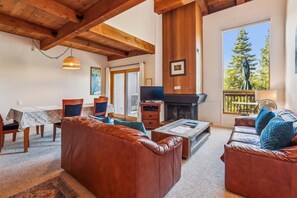 TV, fireplace, computer