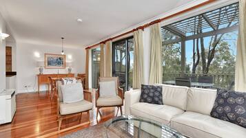 TV, fireplace, DVD player