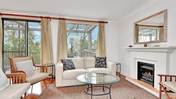 TV, fireplace, DVD player