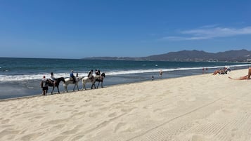 Beach nearby, sun loungers, beach towels