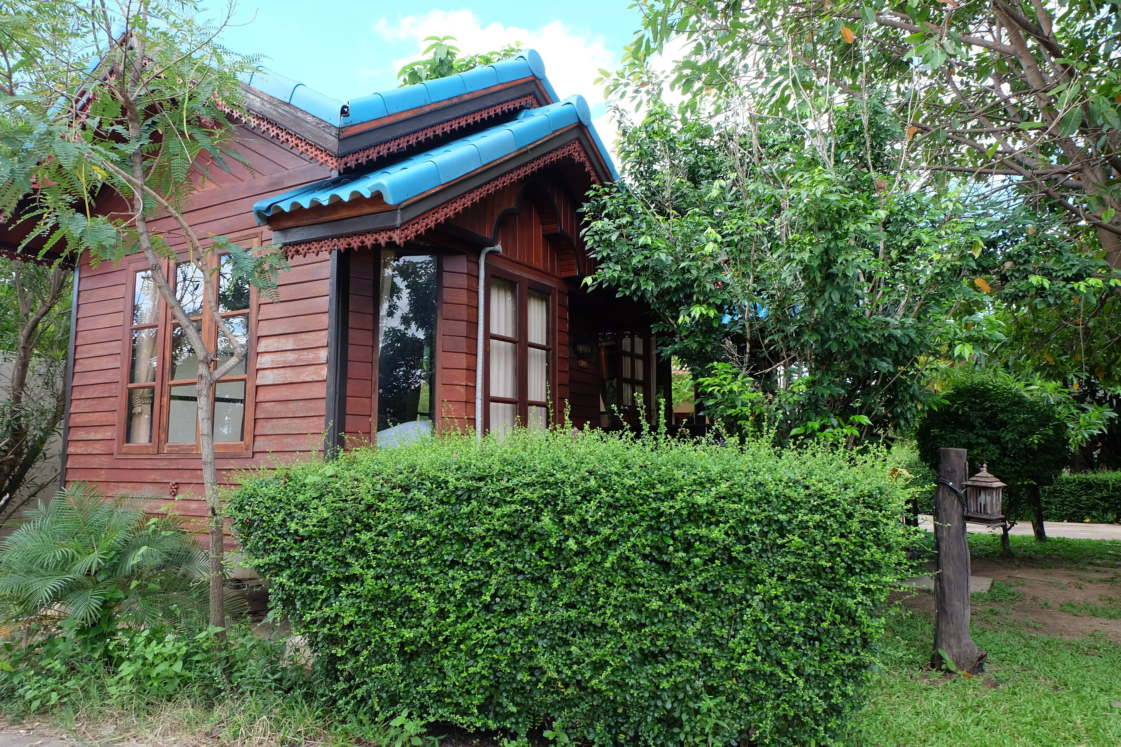 A traditional wooden house with a blue roof, surrounded by dense greenery and a well-maintained hedge.