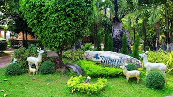 Vườn