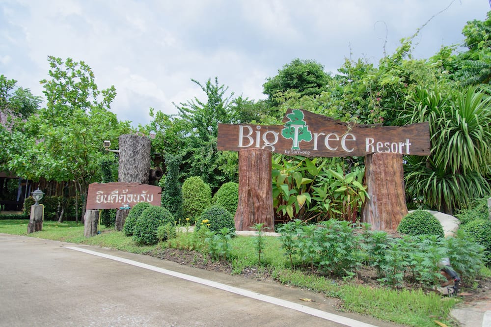 Big Tree Resort