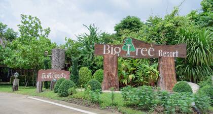 Big Tree Resort