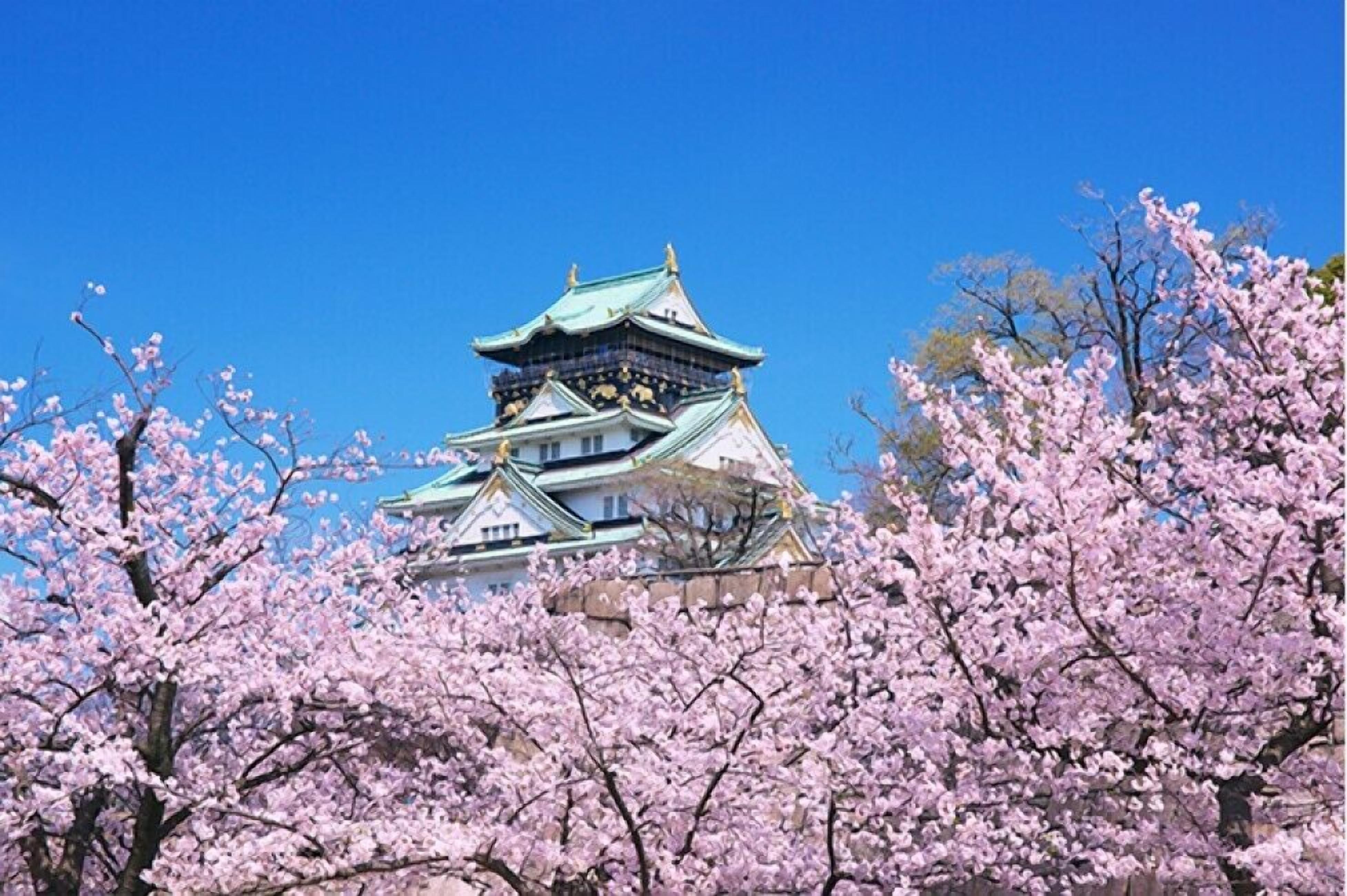 land view from property