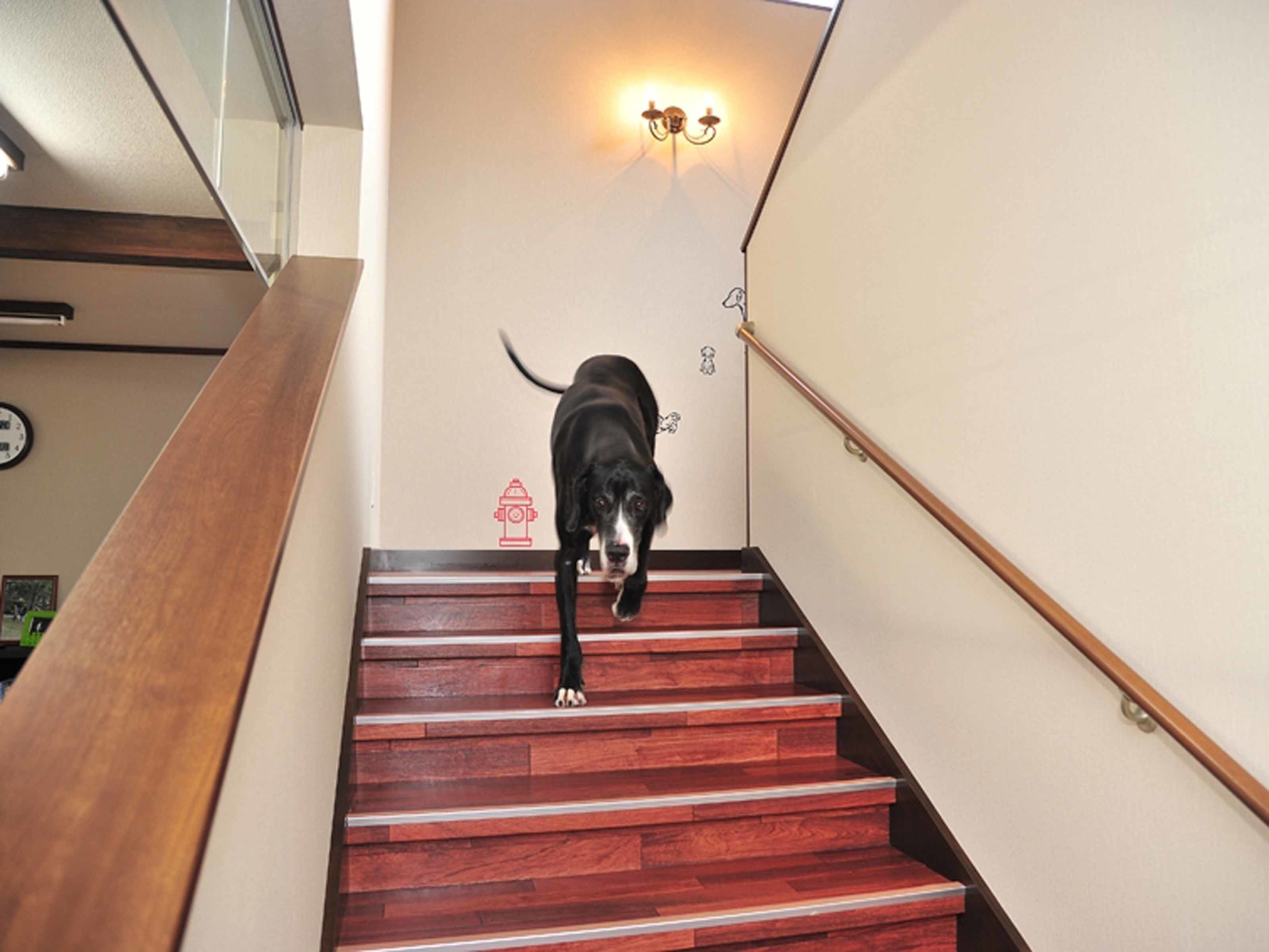 Treppe
