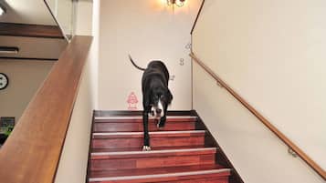 Treppe